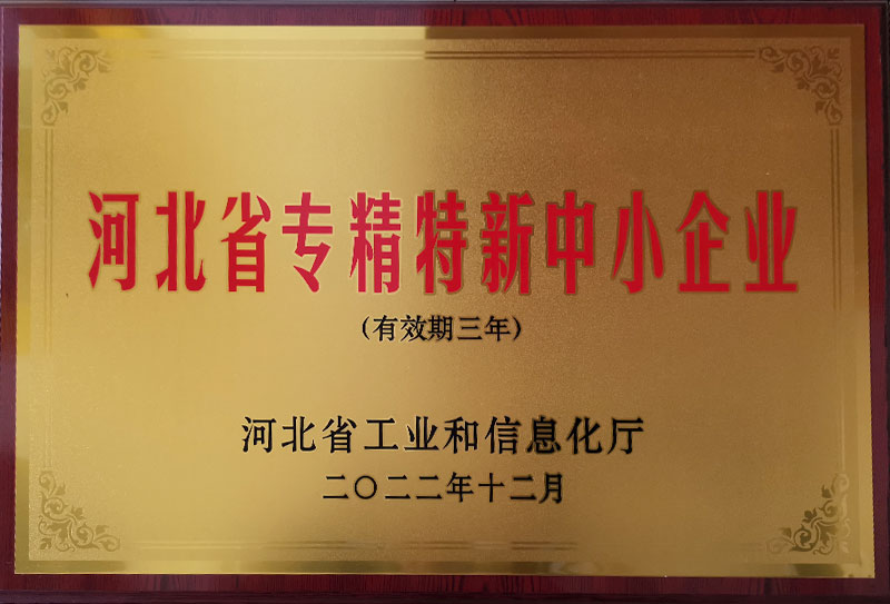 專(zhuān)精特新小巨人企業(yè)